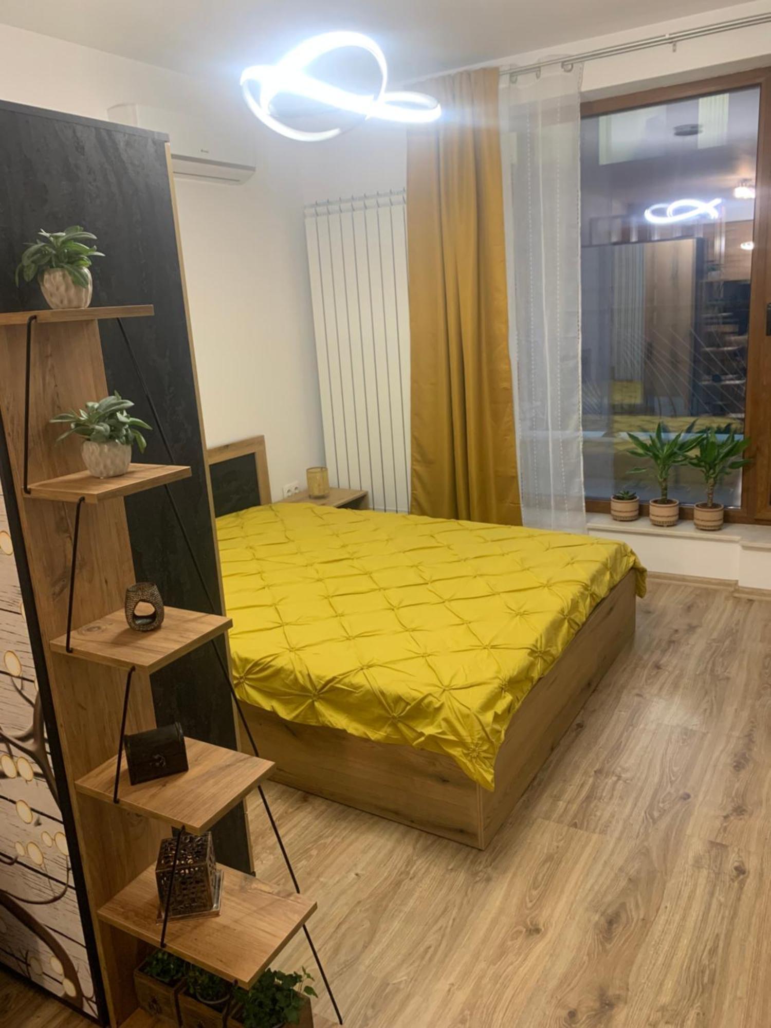Apartment Luxury 